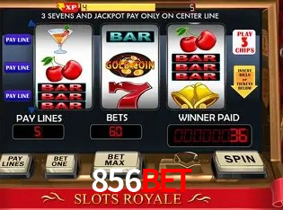 Recursos de Bônus 856bet