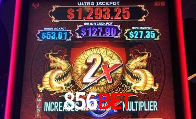 Promoções Sazonais 856bet
