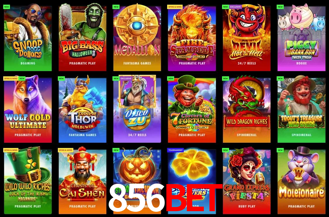 Security Systems 856bet