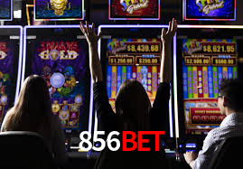Statistics 856bet